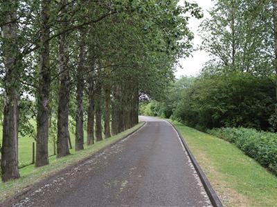 Picture 19